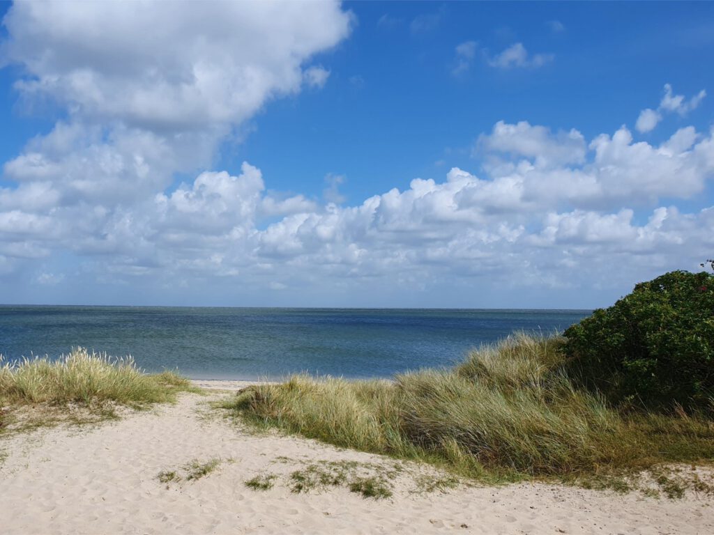 Sand. Dünengras. Meer. Blauer Himmel mit Wölkchen.