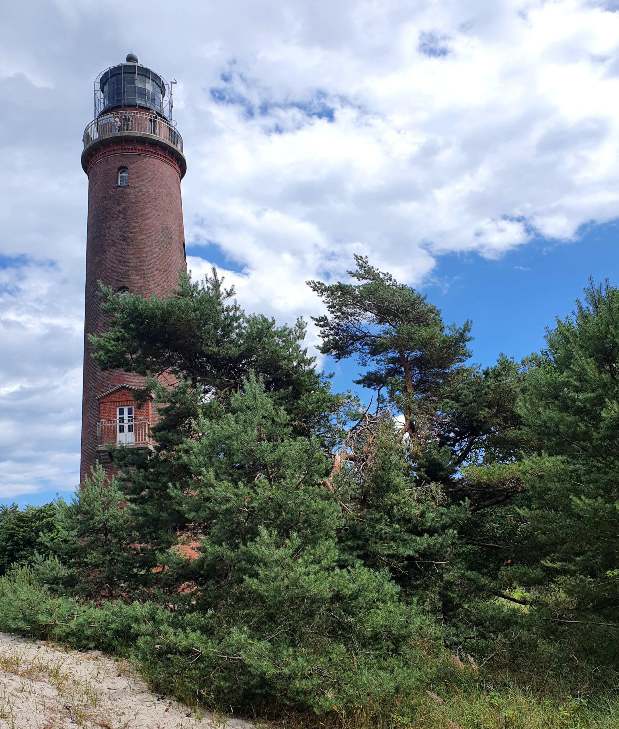 Ein Leuchtturm. Vorne flache Kiefern. Blauer Himmel mit einigen Wolken.