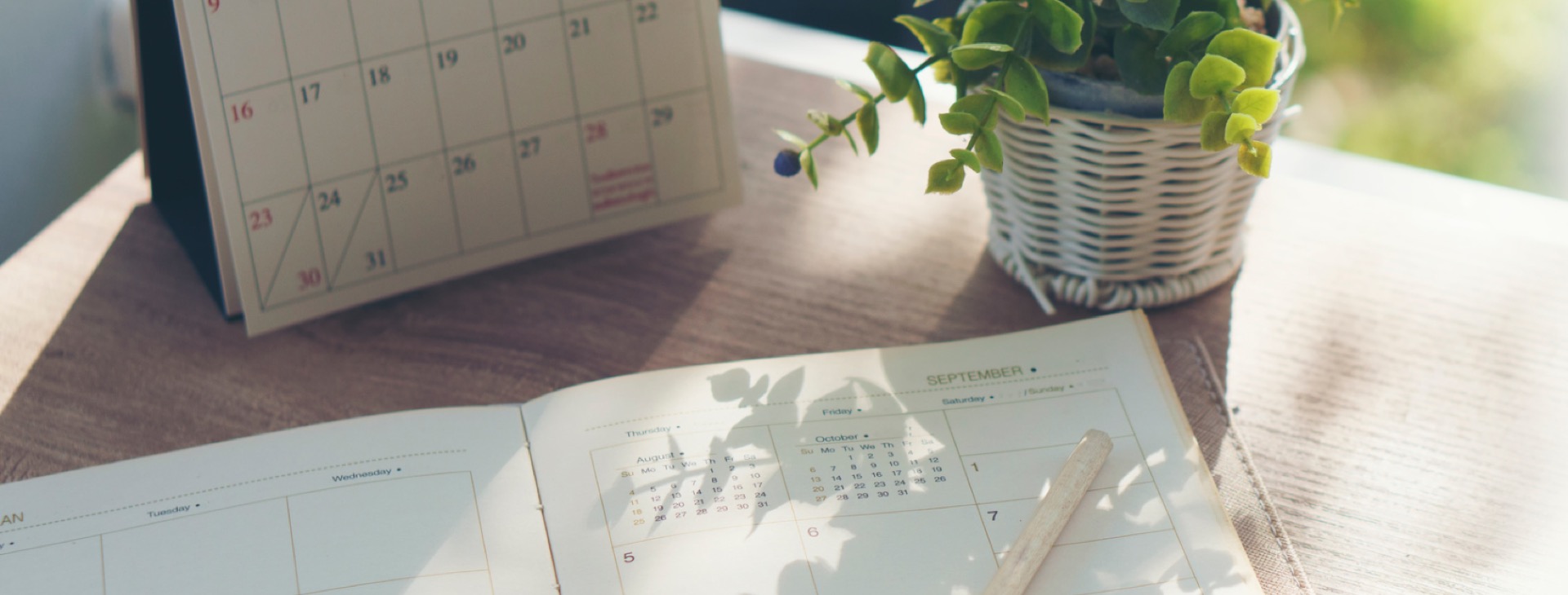 Ein Terminkalender, ein Notizbuch und eine Topfpflanze auf einem hellen Tisch.